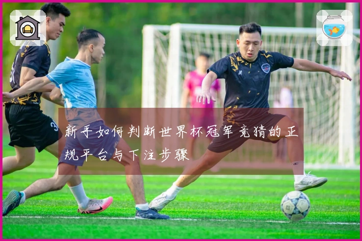 新手如何判断世界杯冠军竞猜的正规平台与下注步骤