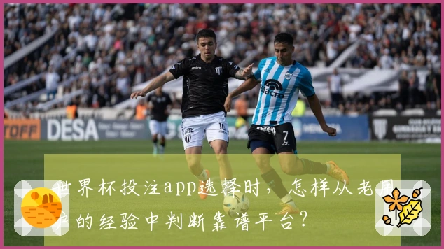世界杯投注app选择时，怎样从老用户的经验中判断靠谱平台？