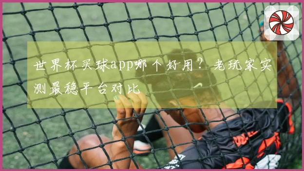 世界杯买球app哪个好用？老玩家实测最稳平台对比