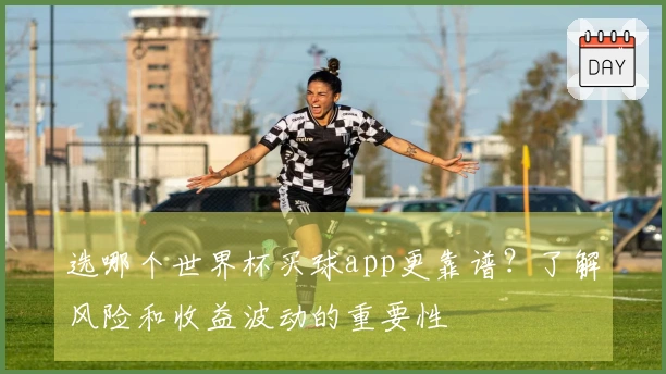 选哪个世界杯买球app更靠谱？了解风险和收益波动的重要性