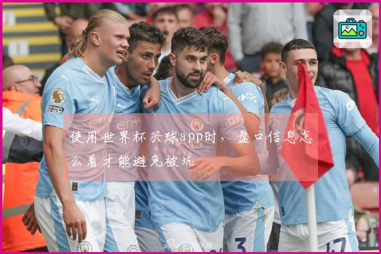 使用世界杯买球app时，盘口信息怎么看才能避免被坑