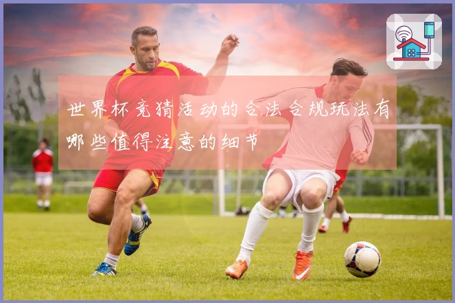 世界杯竞猜活动的合法合规玩法有哪些值得注意的细节