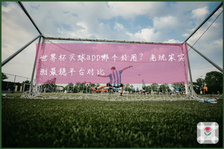 世界杯买球app哪个好用？老玩家实测最稳平台对比