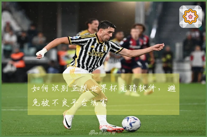 如何识别正规世界杯竞猜软件，避免被不良平台坑害